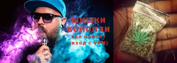 экстази Арсеньев