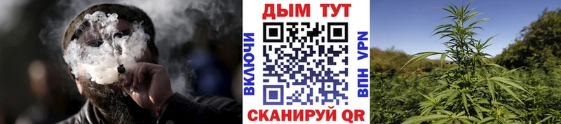 Каннабис конопля  Купить где  Спасск-Дальний 